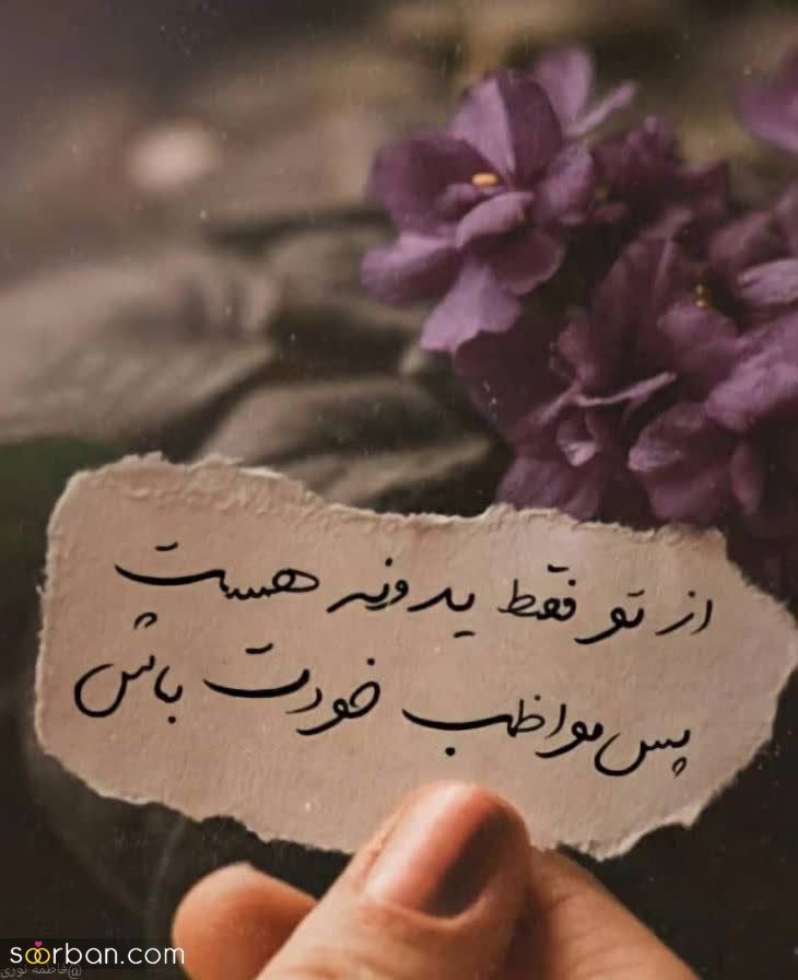 تصویر 4